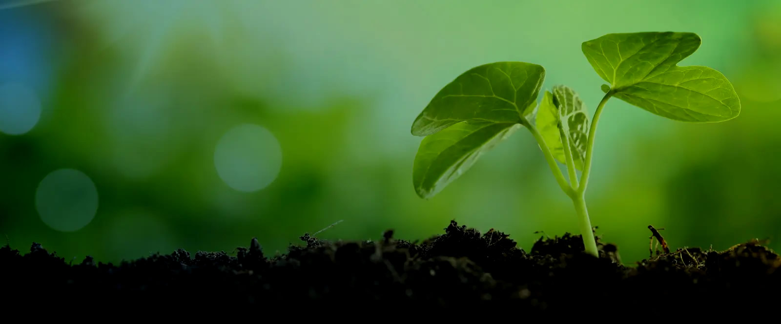 Welcome to <br>Kumar Enterprises India